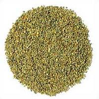 Manufacturers Exporters and Wholesale Suppliers of Cattle Feed Ahmedabad Gujarat